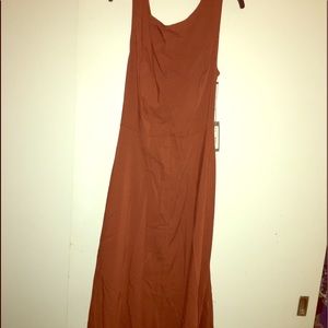 Eva Mendez rust colored dress